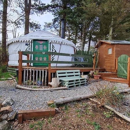 The Tall Pines Yurt Хелмсдейл Экстерьер фото